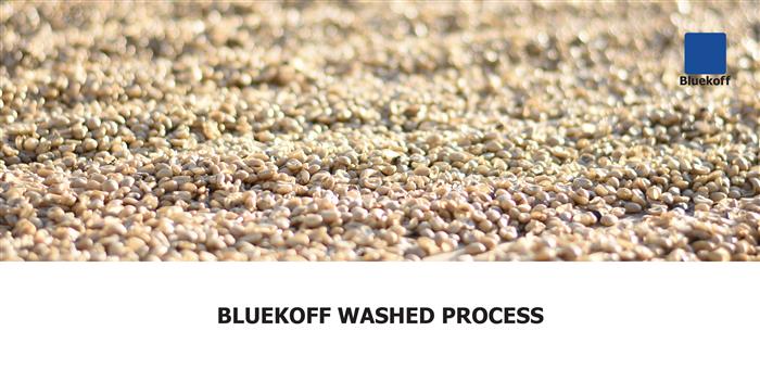 Bluekoff Washed Process