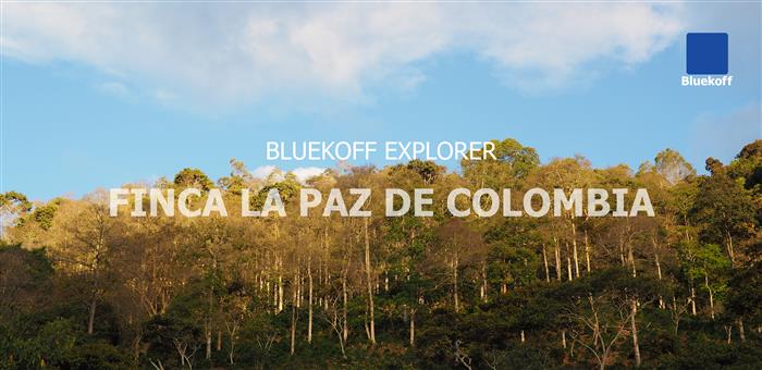 Bluekoff Explorer : Finca La Paz de Colombia