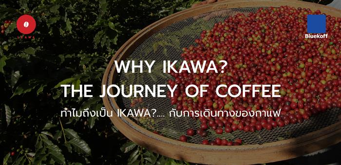 WHY IKAWA? THE JOURNEY OF COFFEE l ทำไมถึงเป็น IKAWA?.... กับการเดินทางของกาแฟ